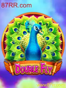 Explorando o Mundo de DoubleFly: Um Jogo Empolgante para Todas as Idades